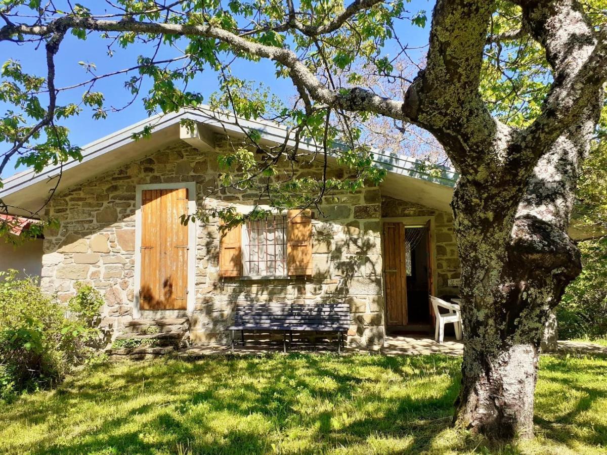 Borgo Castelluccio Country House Porretta Terme Εξωτερικό φωτογραφία